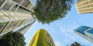 Arquitectura y bienestar