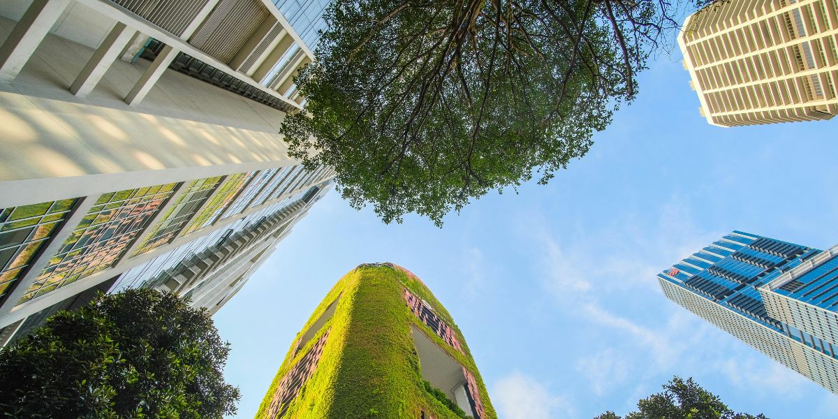 Lee más sobre el artículo Arquitectura y bienestar